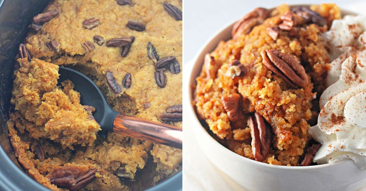 Slow cooker pumpkin cobbler topped with pecans and cinnamon whipped cream.